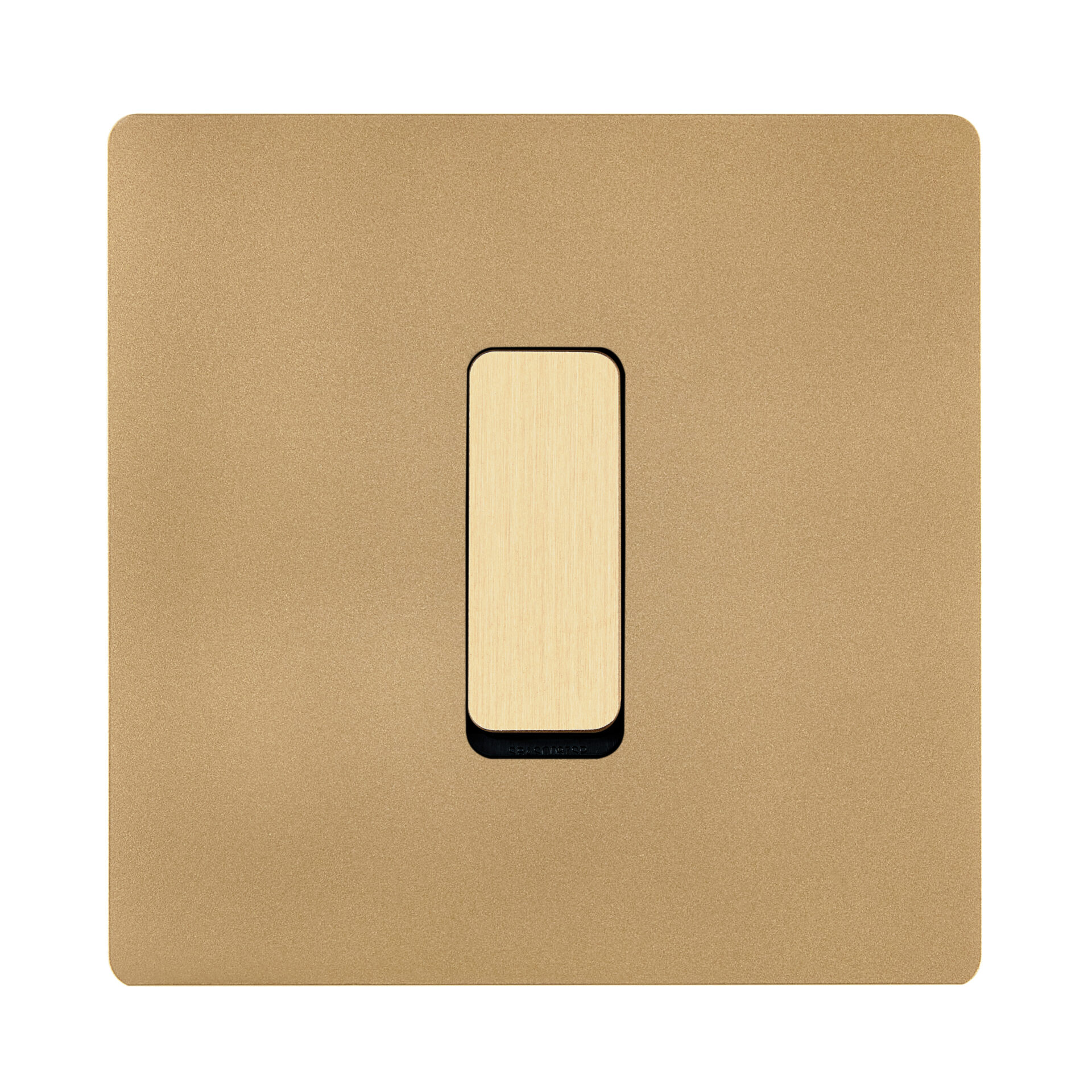 B1M 532_80 LAITON BROSSE FACE