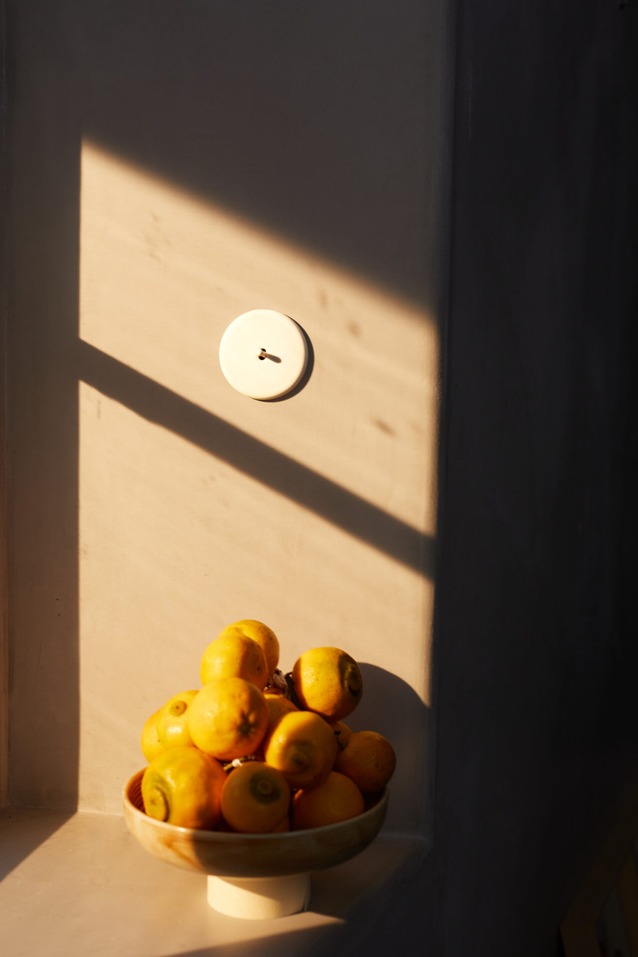 MODELEC-Iris by MODELEC-Porcelaine-White-4