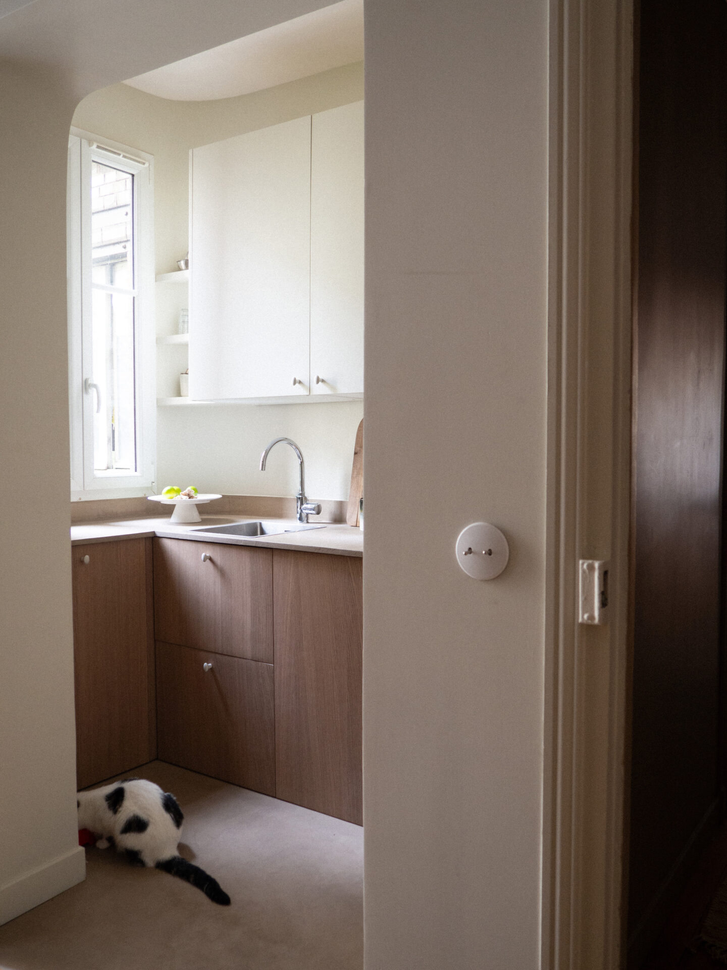 Modelec_Iris Ambiente