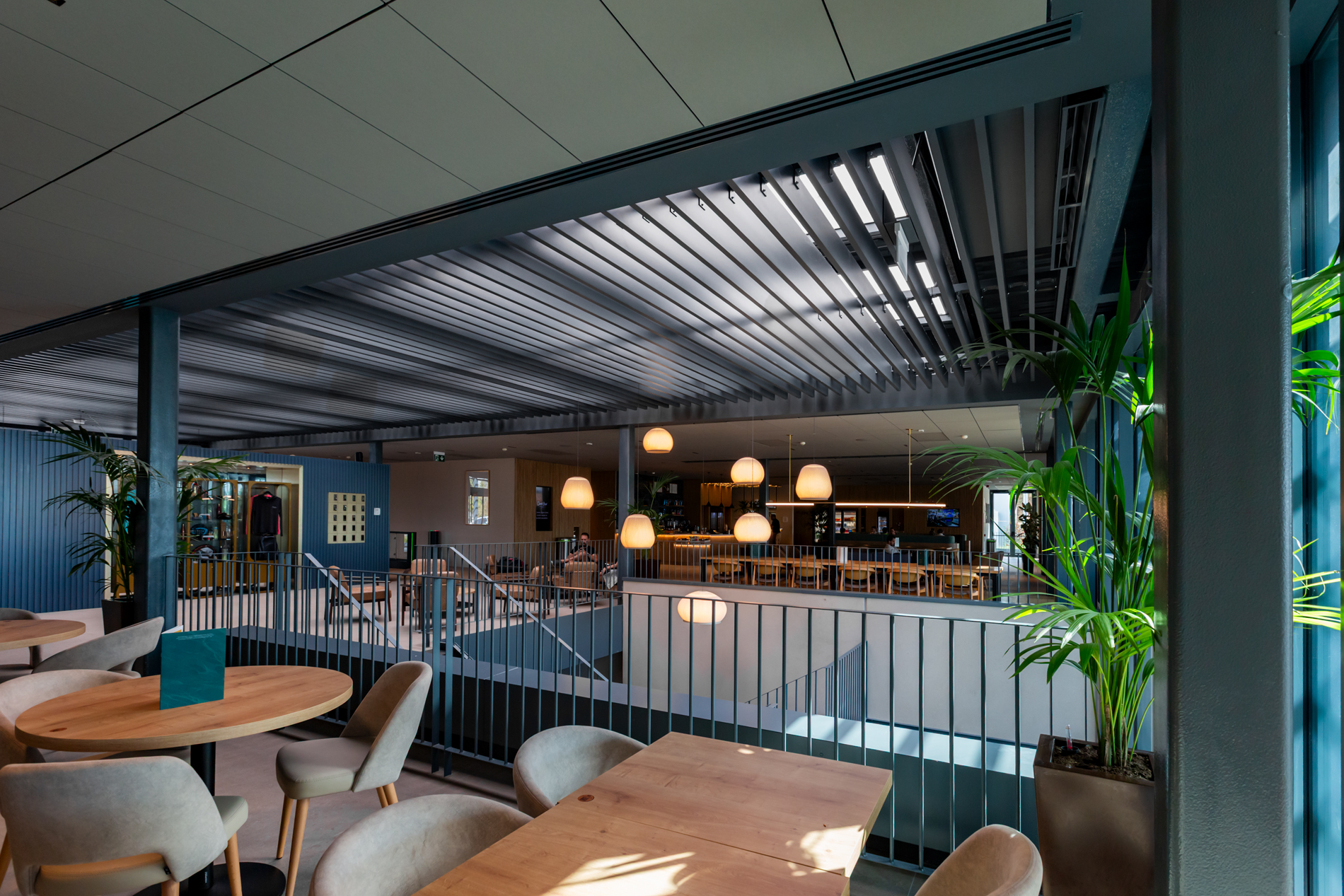 Celosias_Gimnasio_David Lloyd_Madrid_R_T7A8282 - copia