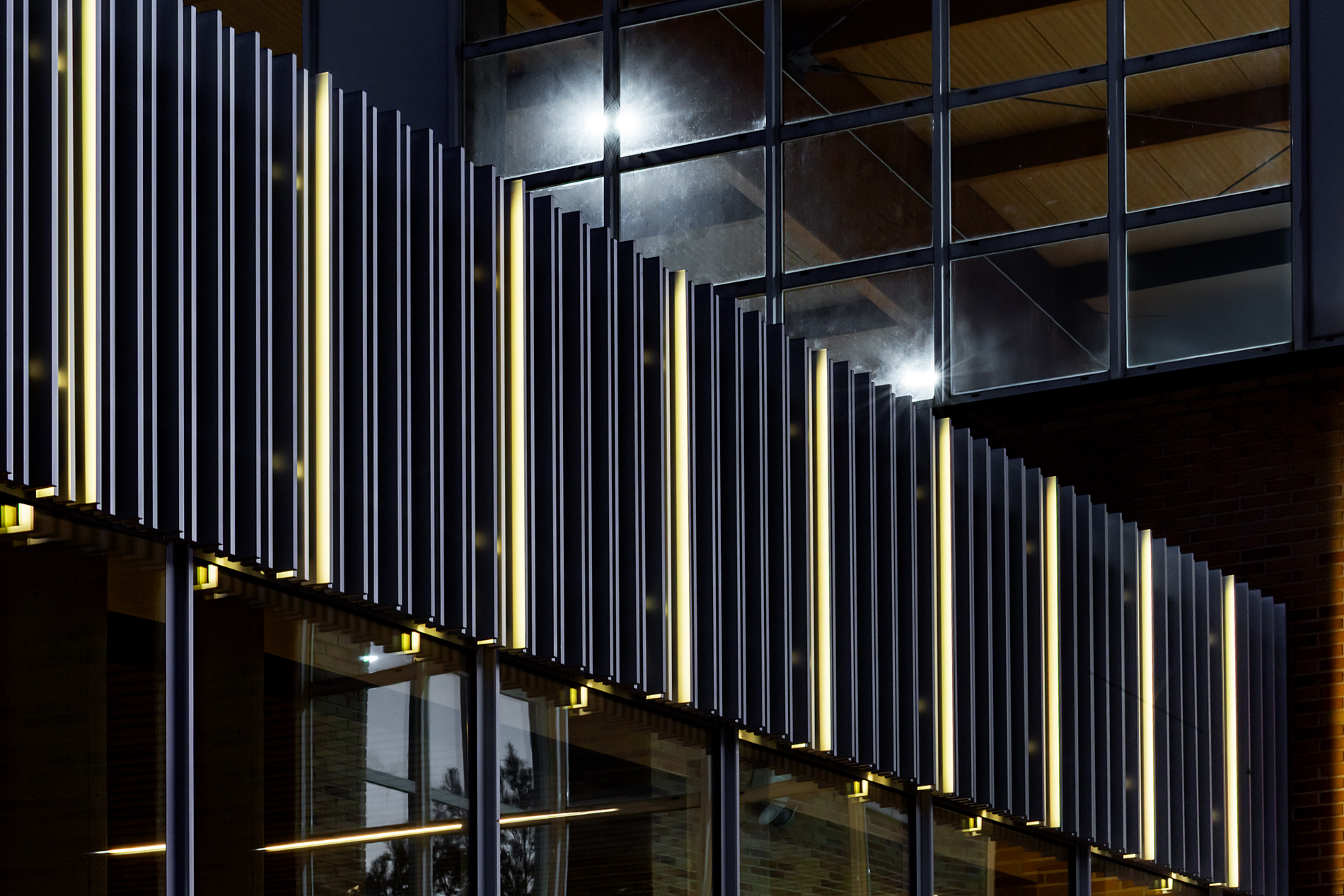 Celosias_Nocturnas_R_T7A9332