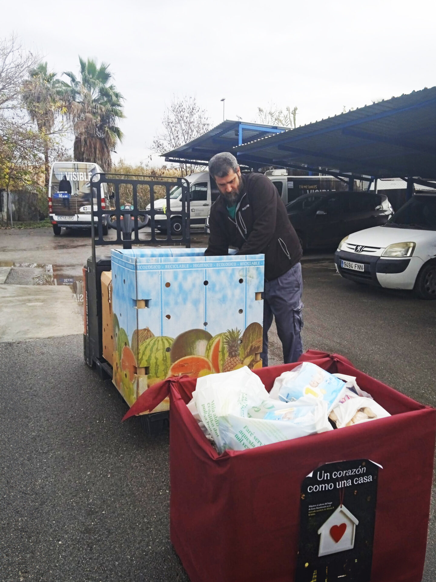 IMG-20251217-WA0012-copia